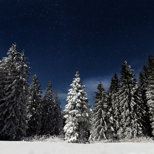 洛阳睡衣厂家用小鹤营销导航

