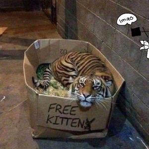 洛阳睡衣厂家用小鹤营销导航
